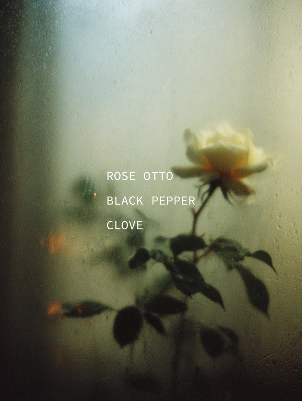 Cream rose through rain-streaked glass — ingredient portrait for Rose Otto, Black Pepper, and Clove botanical fragrance