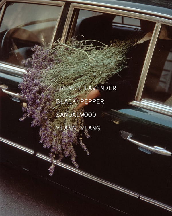 Hand holding a lavender bouquet from a classic black car window — mood portrait for Sonata botanical fragrance with French Lavender, Black Pepper, Sandalwood, and Ylang Ylang