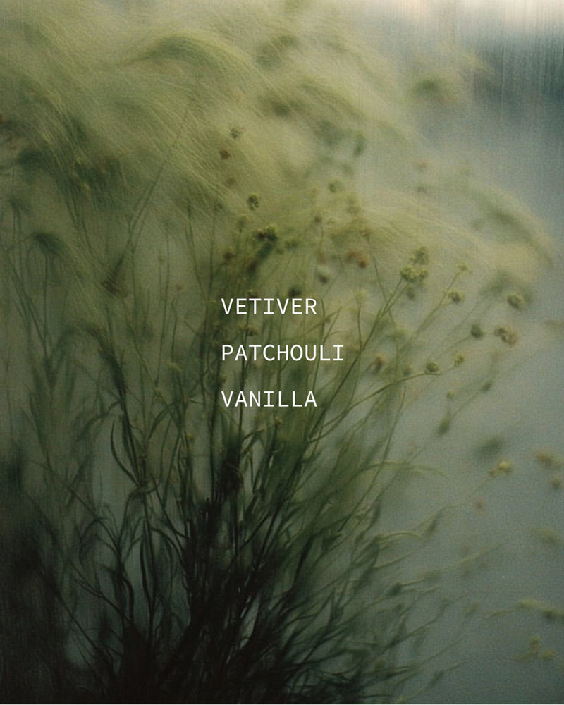 Wispy vetiver grass through misted glass — ingredient portrait for Vetiver, Patchouli, and Vanilla botanical natural fragrance