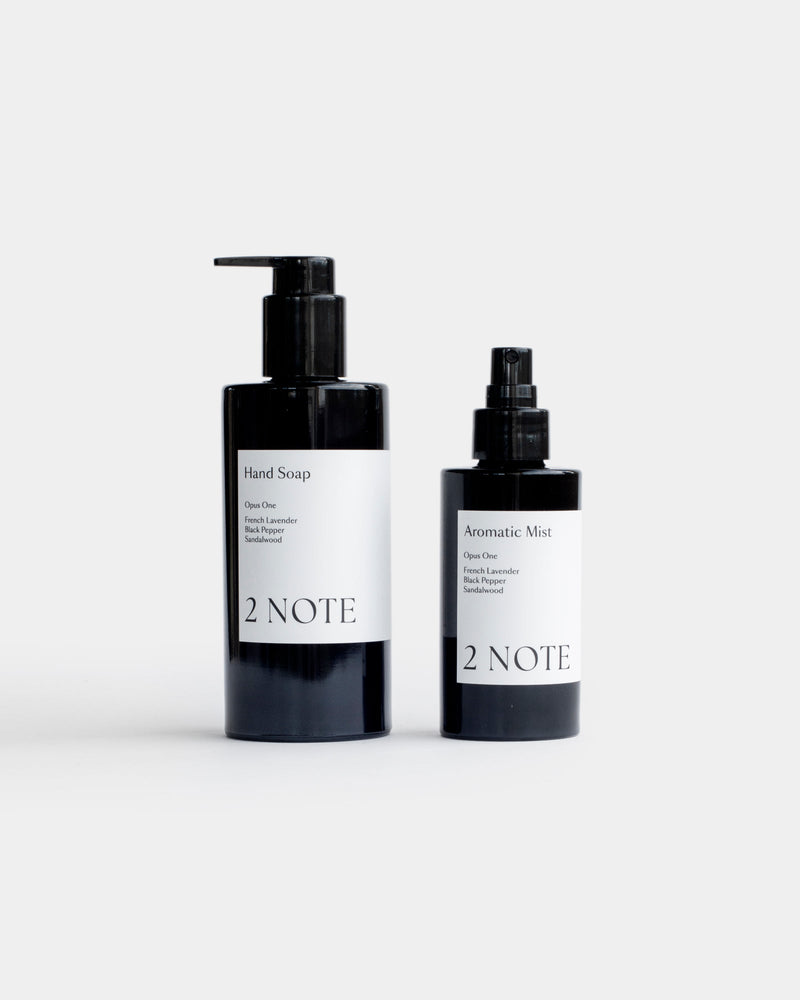 The Cleanse and Compose Set — Hand Soap and Aromatic Mist matte black bottles side by side on light gray, botanical skincare and natural fragrance sink ritual