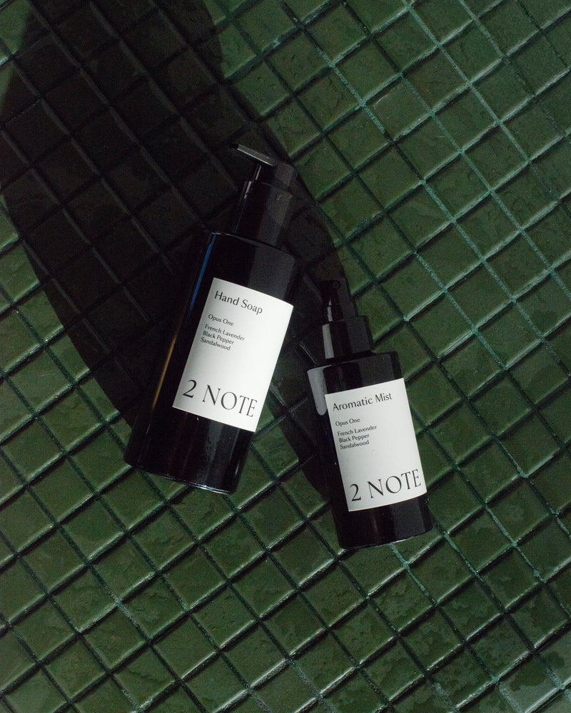 Hand Soap and Aromatic Mist matte black bottles on dark green tile — botanical skincare and natural fragrance pairing in direct sunlight