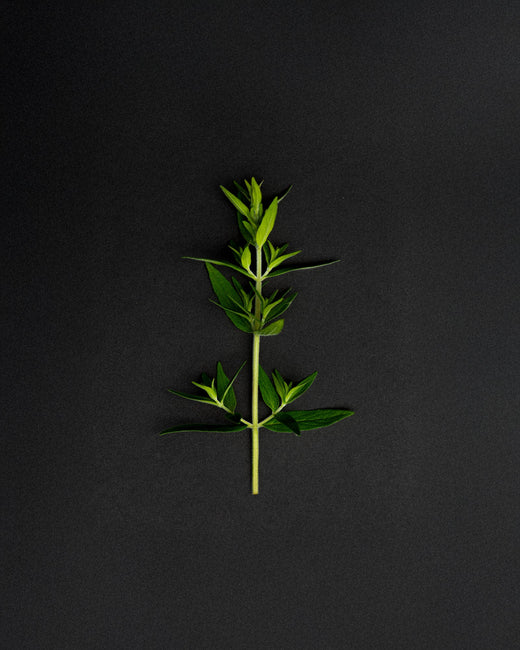 Botanical Index