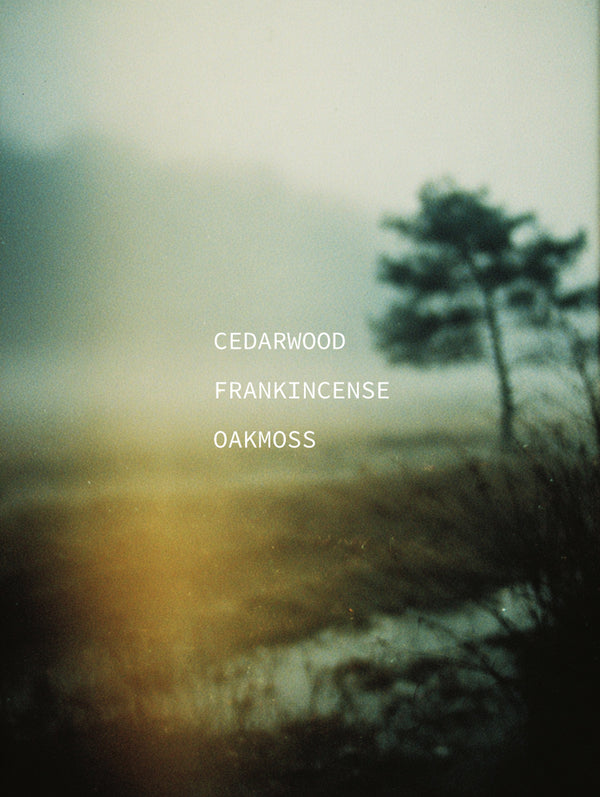 Misty moorland with lone cedar tree silhouette — ingredient portrait for Cedarwood, Frankincense, and Oakmoss botanical fragrance