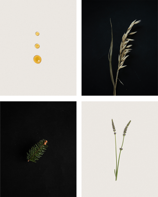 Botanical Index